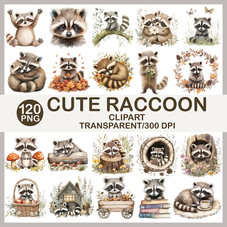 May include: A set of 120 PNG raccoon clipart images. The illustrations depict raccoons in diverse poses and settings, such as with flowers, in a basket, and on a log. The text reads "CUTE RACCOON CLIPART TRANSPARENT/300 DPI".