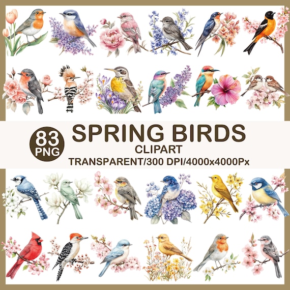 Watercolor Spring Birds Clipart, Floral PNG Set (83 Files)