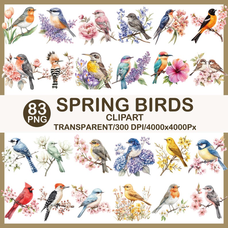 May include: A collection of 83 PNG spring bird clipart images. The birds are depicted in various colors and poses, perched on branches with flowers. The text "SPRING BIRDS" is displayed prominently.