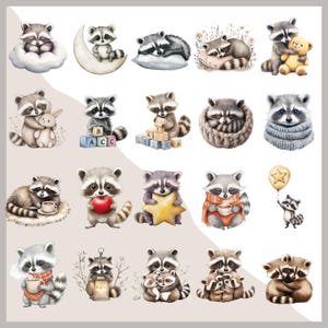May include: A collection of watercolour illustrations featuring raccoons. The raccoons are depicted in different scenarios, such as holding a star, a balloon, or a teddy bear. Some are sleeping on a cloud or a crescent moon. The illustrations include blocks and a cup of coffee.