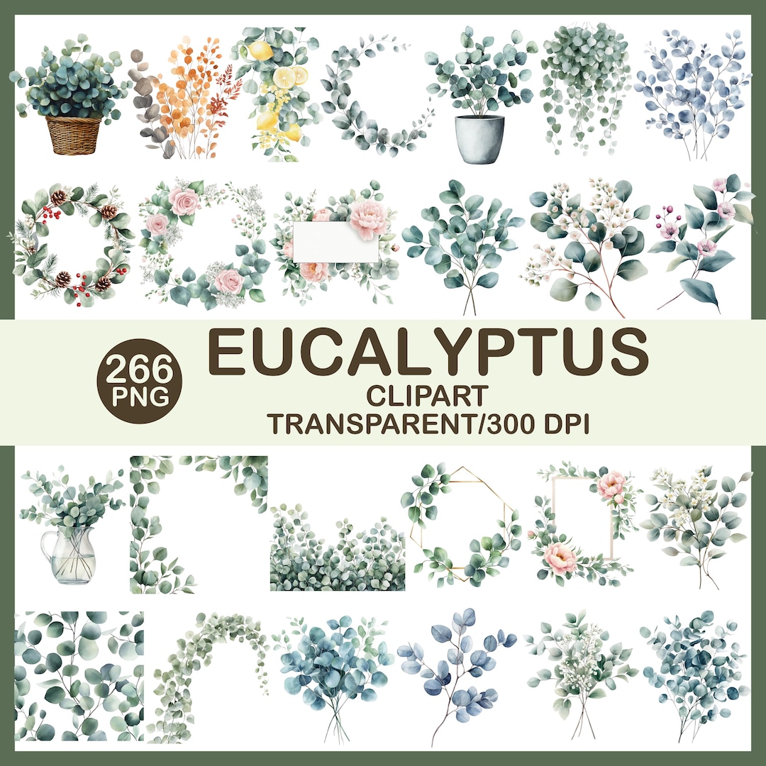 Eucalyptus Watercolor Clipart Bundle | Floral Wreaths, Greenery ...
