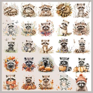 May include: A selection of watercolour illustrations of raccoons in different poses. Some are surrounded by flowers, berries, or autumn leaves. Others hold pumpkins or wear hats. The colour palette includes browns, greys, and oranges.