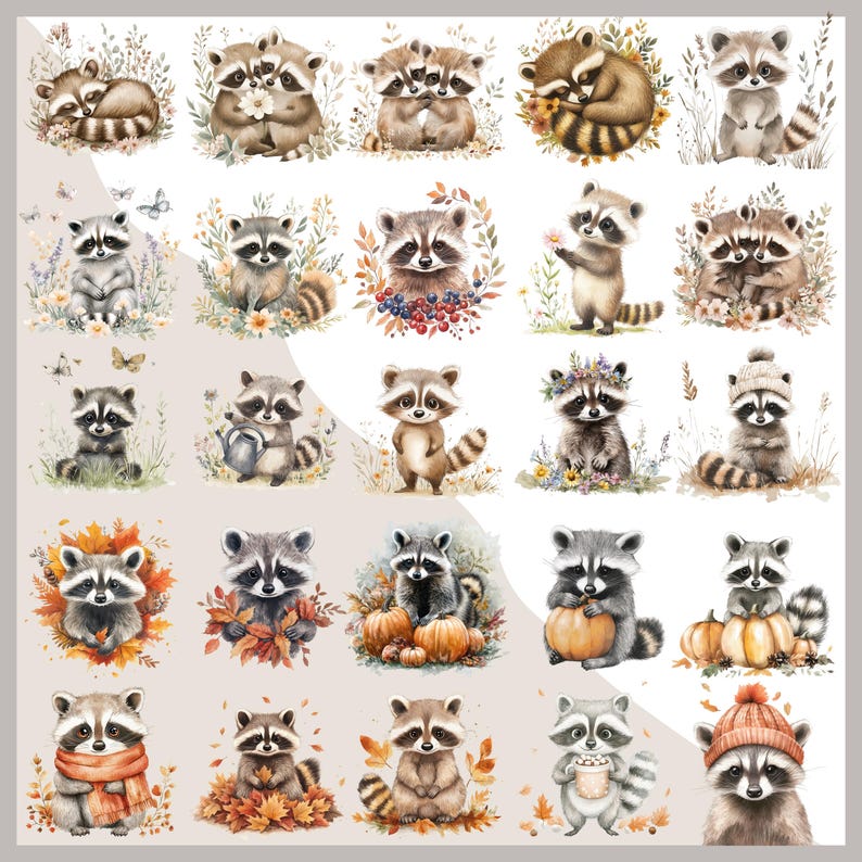 May include: A selection of watercolour illustrations of raccoons in different poses. Some are surrounded by flowers, berries, or autumn leaves. Others hold pumpkins or wear hats. The colour palette includes browns, greys, and oranges.