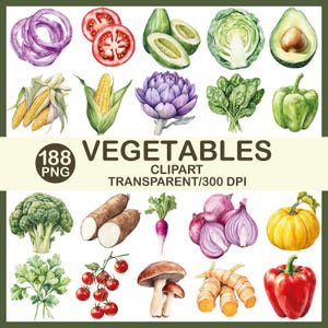 May include: Watercolor illustration of various vegetables, including red onions, tomatoes, avocados, cabbage, corn, artichoke, spinach, bell pepper, broccoli, yuca, radish, red onions, pumpkin, parsley, cherry tomatoes, mushrooms, turmeric, and red bell pepper. Text: 188 PNG, Vegetables Clipart, Transparent/300 DPI.