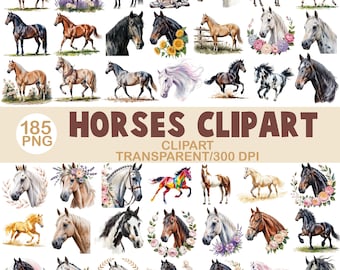 水彩画の馬のクリップアートバンドル：185点のPNG馬術イラスト（デジタルダウンロード）