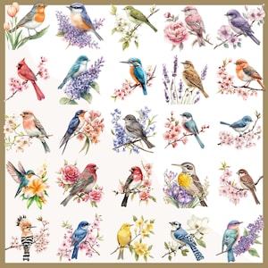 May include: Watercolor illustrations of various birds perched on flowering branches. The birds feature a range of colors, including red, blue, green, and yellow. The artwork has a soft, delicate style, with detailed depictions of feathers and flowers.