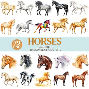 Watercolor Horse Clipart Bundle, 79 PNG Wild Horse Illustrations, Transparent Background, Equestrian Clipart Set, Commercial Use