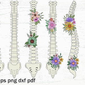 Floral Spine Anatomy SVG, Human spine Svg, Spinal Cord Svg, Flower Bones Svg, Anatomy Png, Spine Cut Files, Clip Art