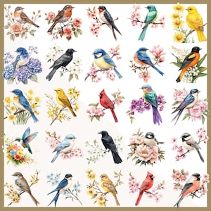 May include: A collection of watercolor illustrations of various birds perched on flowering branches. The birds feature a range of colors, including blue, red, yellow, and green, with detailed feather patterns. The floral elements include pink, white, and yellow blossoms.