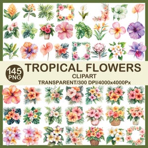 Pode incluir: Uma coleção de 145 imagens clipart PNG de flores tropicais. As ilustrações em aquarela apresentam várias flores, incluindo hibiscos, orquídeas e plumerias, em cores vibrantes. O texto diz "TROPICAL FLOWERS CLIPART".