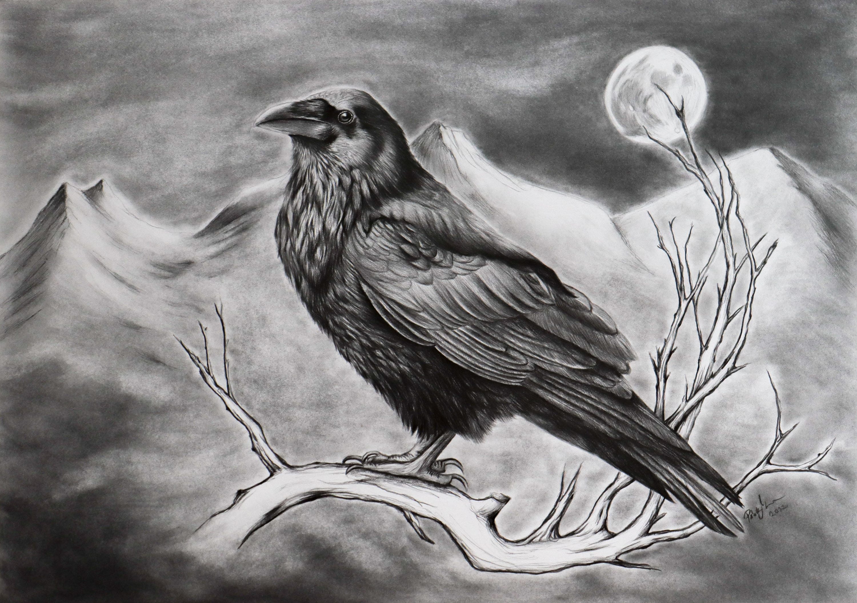 Raven Drawing Giclée Print Bird Drawing Realistic Wall Art Animal Art ...
