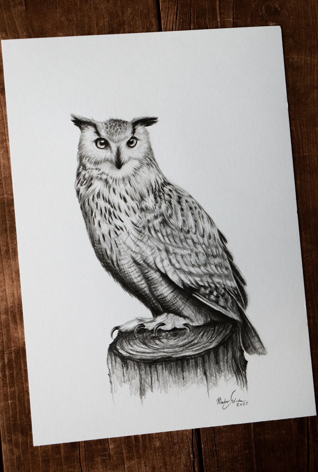 Owl Portrait Original Drawing, Realistic Graphite Pencil Signed Bird ...