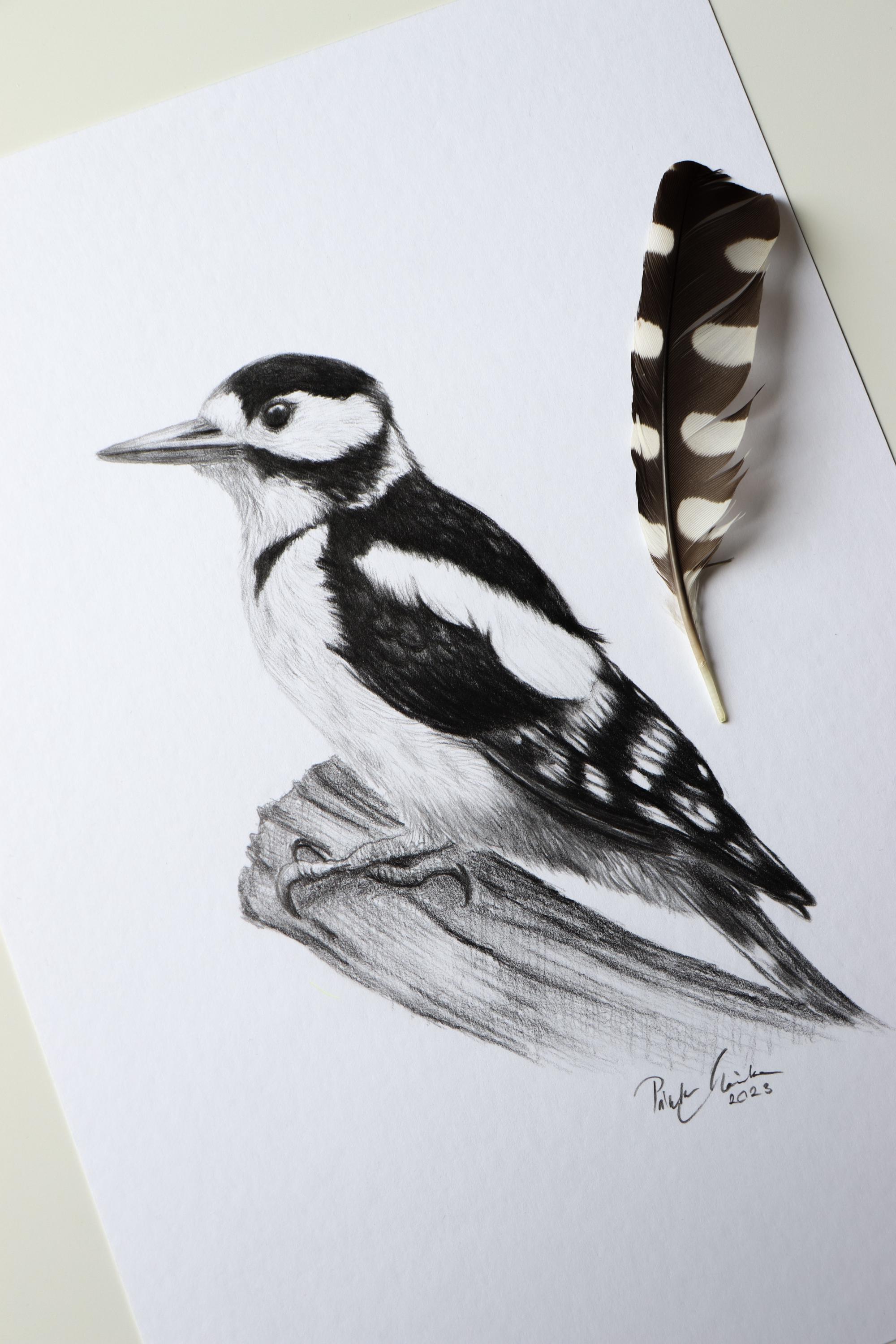 Woodpecker Drawing: Original Graphite Pencil Bird Art, A5 Signed