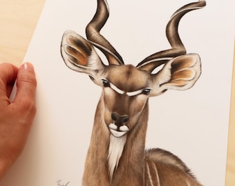 Original Afrikanische Antilope Portrait Zeichnung - Handgemachter Buntstift Tier Kunst (A4 Format)