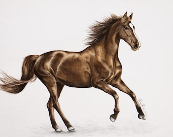 Obra de arte original de caballos - Dibujo realista de animales a lápiz de color - Decoración de pared con motivos de caballos