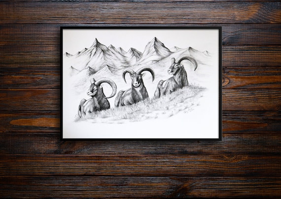 Original Mouflon Graphite Pencil Drawing - Wildlife Mountain
