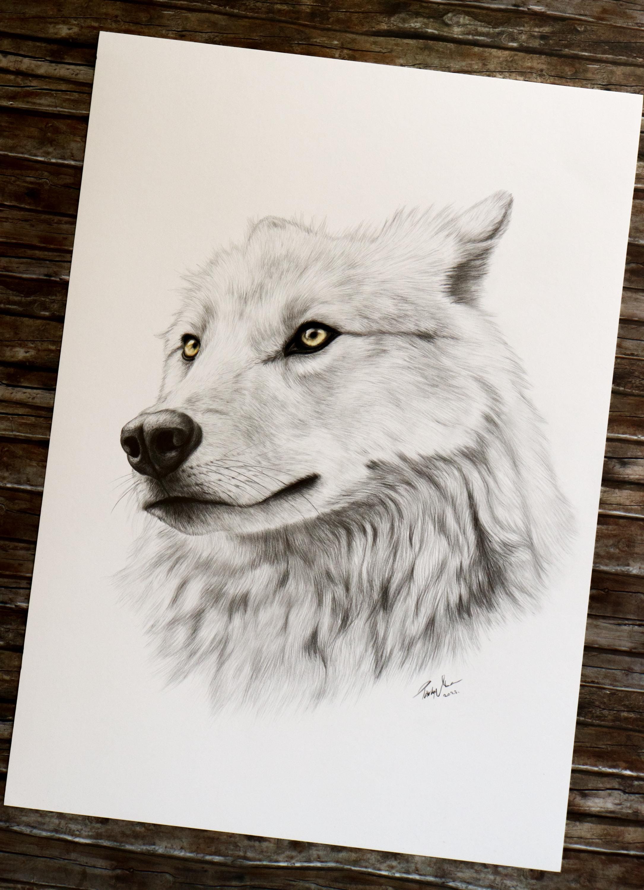 Handmade White Wolf Portrait: Realistic Graphite Pencil Drawing