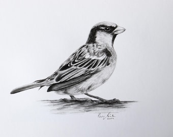鉛筆画 雀 スズメ 雀 すずめ スズメ 鳥 A4 鉛筆画 動物画 素人 の 絵 - メルカリ