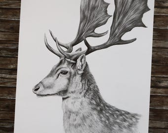 オリジナルのリアルな鹿の鉛筆画 - Etsy 日本