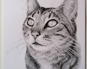 カスタム猫肖像画：あなたの写真からリアルな鉛筆画でペットを描きます