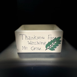 Gift Box/Planter Box