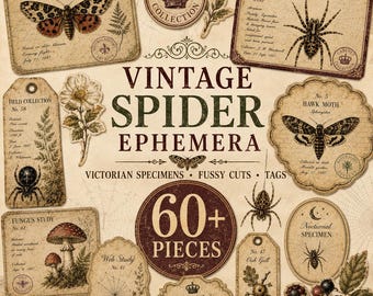 Spinnen-Ephemera zum Ausdrucken | Viktorianische Spinnenkarten, Halloween-Bastelarbeiten & Dark-Academia-Junk-Journal