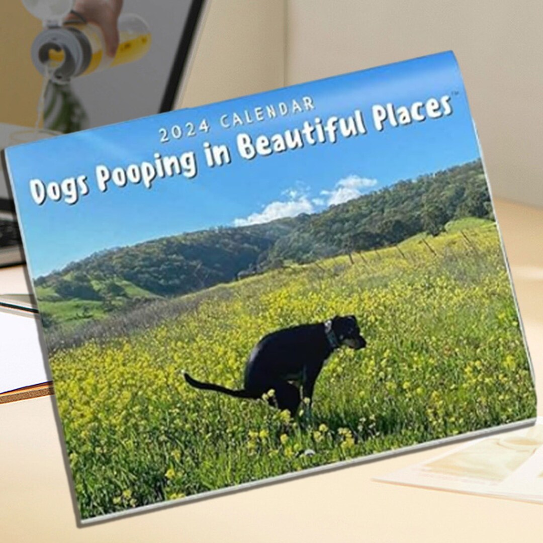 Handmade 2025 Mini Dogs Pooping in Beautiful Places Calendar, Wall