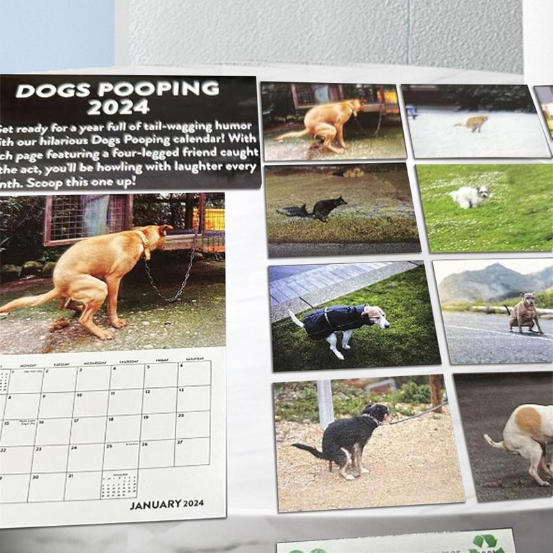 Handmade 2025 Mini Dogs Pooping in Beautiful Places Calendar, Wall