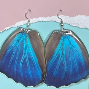 Puede incluir: Un par de pendientes colgantes con forma de alas de mariposa azul iridiscente y bordes de color marrón oscuro. Las alas están recubiertas de una resina transparente y brillante, y se sujetan mediante ganchos de metal plateado.