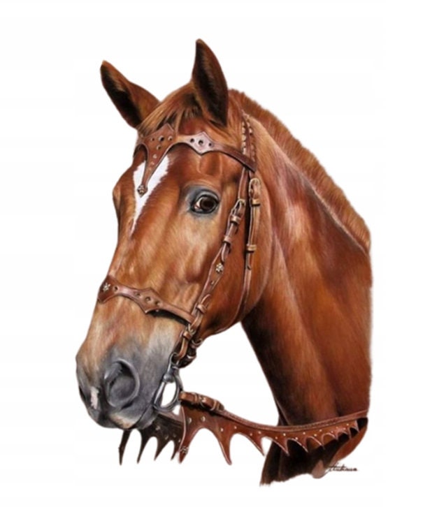 Edible horse 14 cm sugar paste cake topper cake image fondant (PF15)