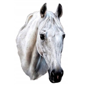 Edible horse 14 cm sugar paste cake topper cake image fondant (PF12)