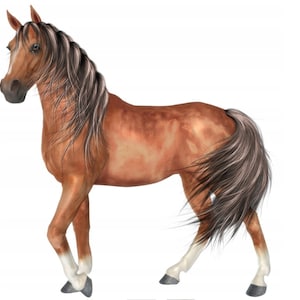 Edible horse horsey 14 cm sugar paste cake topper cake cake image fondant