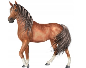 Edible horse horsey 14 cm sugar paste cake topper cake cake image fondant