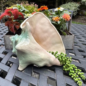 May include: A ceramic seashell sculpture in shades of green and beige, with a matching beige platter. The sculpture is placed on a dark metal table, with a small green plant and a planter box of colorful flowers in the background.