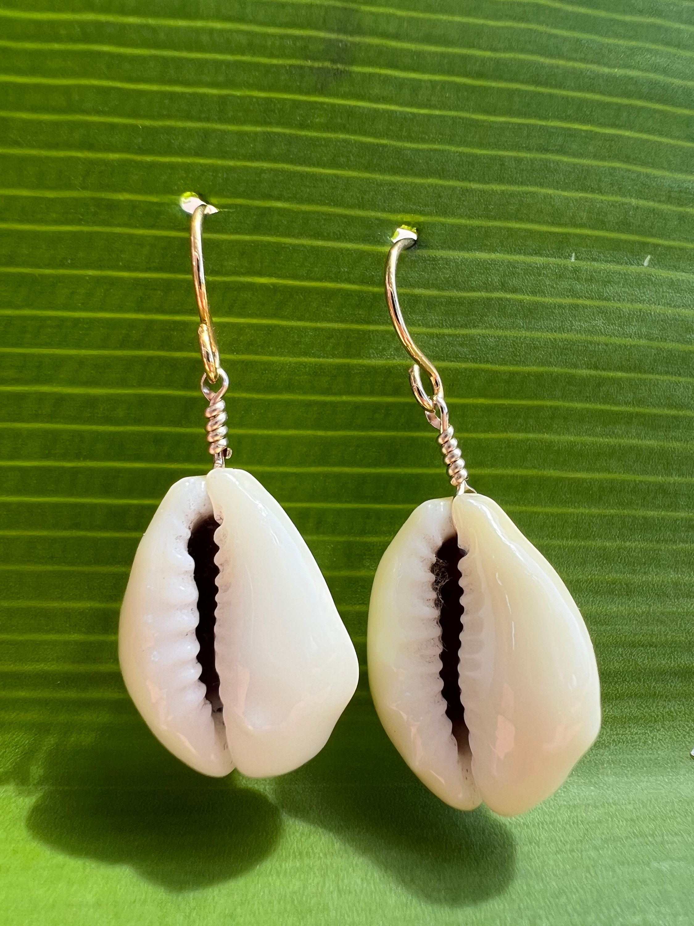 Gold Filled Hawaiian Cowrie Shell Earrings - Etsy