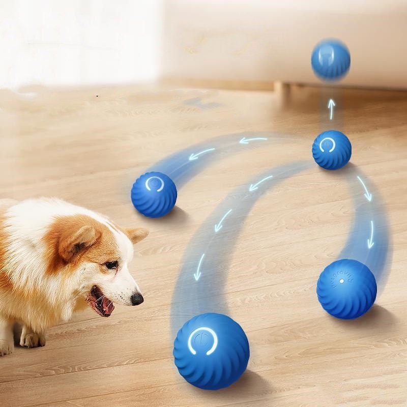 Epaws top dog ball