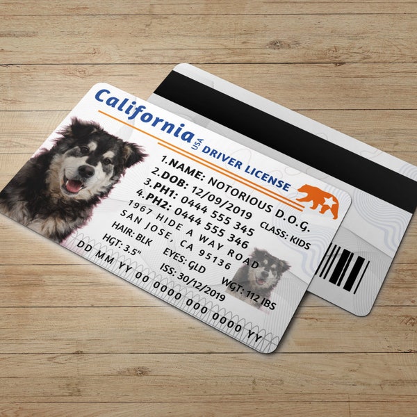 Canvas Kid Novelty Driver License Child Safety Identification Card| California Identification card digital file