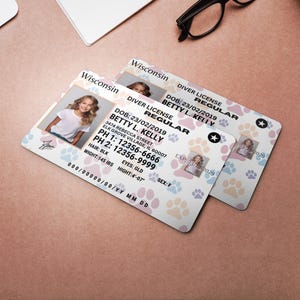 Cartões de identificação personalizados para crianças Garantia de segurança personalizada | Cartões de identificação para jovens Credenciais para crianças Wisconsin IDcard