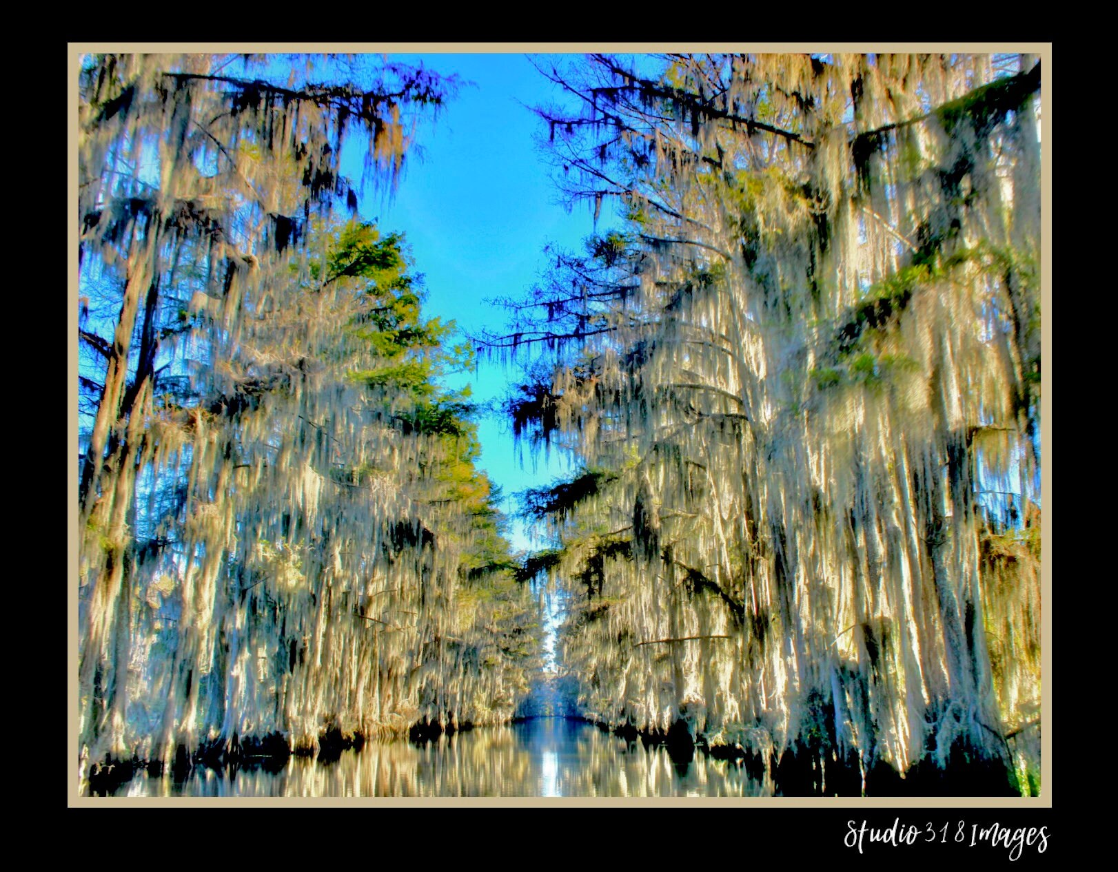 Government Ditch Caddo Lake Uncertain TX Etsy