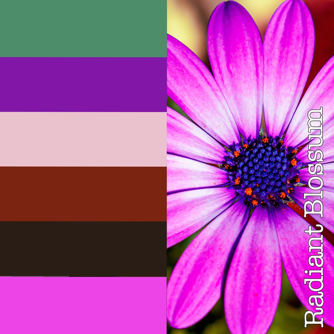 radiant-blossum-digital-color-palette-swatch-for-procreate-etsy