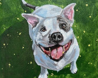 Your Happy Pit Bull American Staffordshire Terrier