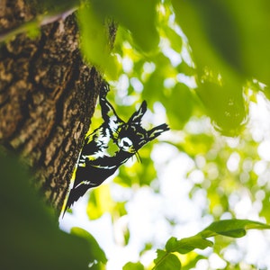 Puede incluir: Una silueta negra de una ardilla trepando a un árbol, con hojas verdes en el fondo.