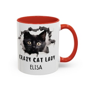 Buy Cat Mom Gifts For Women - Crazy Cat Lady Coffee Mug Gift For Kitten Lover Mom, Daughter, Sister, Aunt, Wife, Best Friends, BFF, Coworkers, Her - Best Mom Ever - Pink