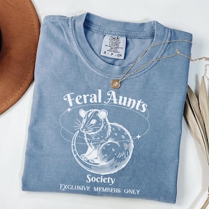Pregnancy Reveal to Sister Auntie Shirt Opossum Shirt Feral Aunt Shirt Pregnancy Reveal to Family Weirdcore Clothing Baby Announcement
