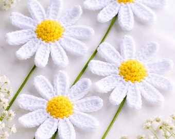 Crochet Daisy Flower Pattern, Easy Applique, Beginner Floral PDF (Digital Download)