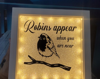 ROBIN in Memory light frame