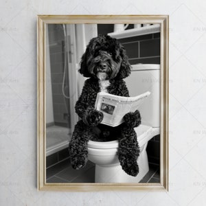 May include: A black and white photo of a dog sitting on a toilet and reading a newspaper. The dog is wearing a serious expression and is holding the newspaper with its paws.