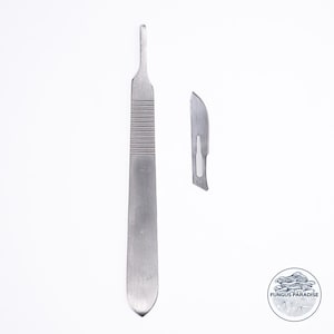 Scalpel + sterile blades