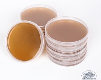 10 pre-filled petri dishes