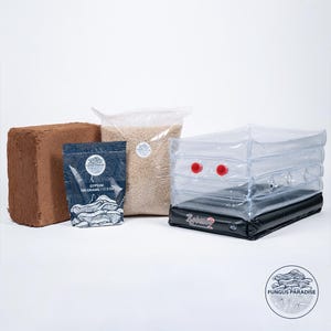 Puede incluir: Un kit de cultivo de setas con varios componentes. Incluye un ladrillo marrón, una bolsa de yeso (500 gramos), una bolsa de grano y una cámara de cultivo inflable con válvulas rojas. Diseñado para el cultivo de setas en casa.